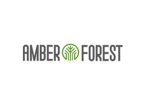 amber-forest amber-forest